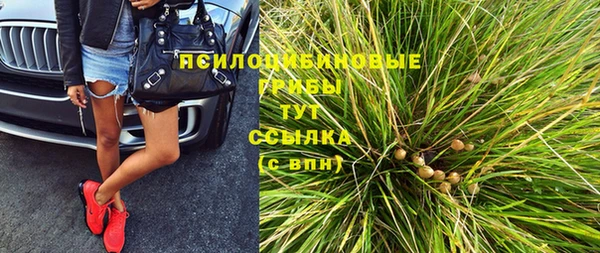 крисы Новокубанск
