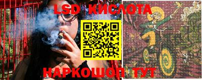 дживик Кингисепп
