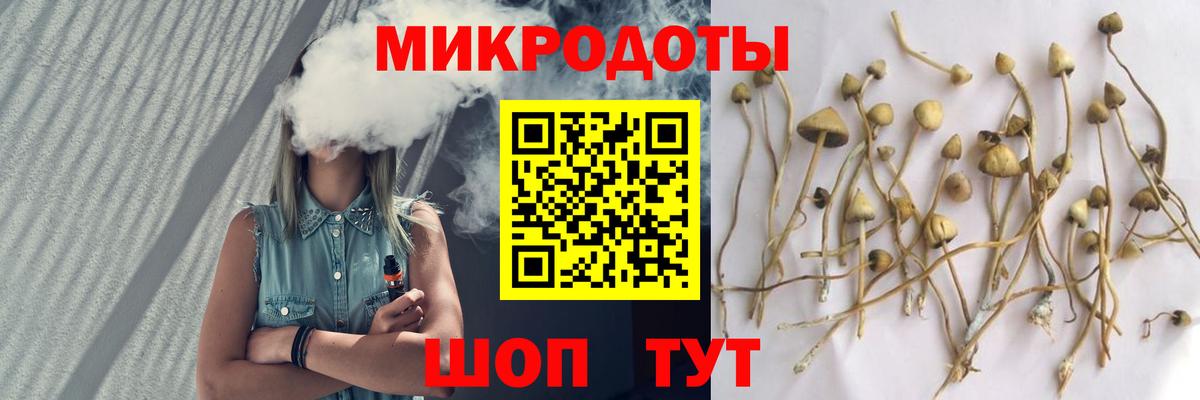 Ялуторовск  Галлюциногенные грибы ЛСД  Вход с VPN 